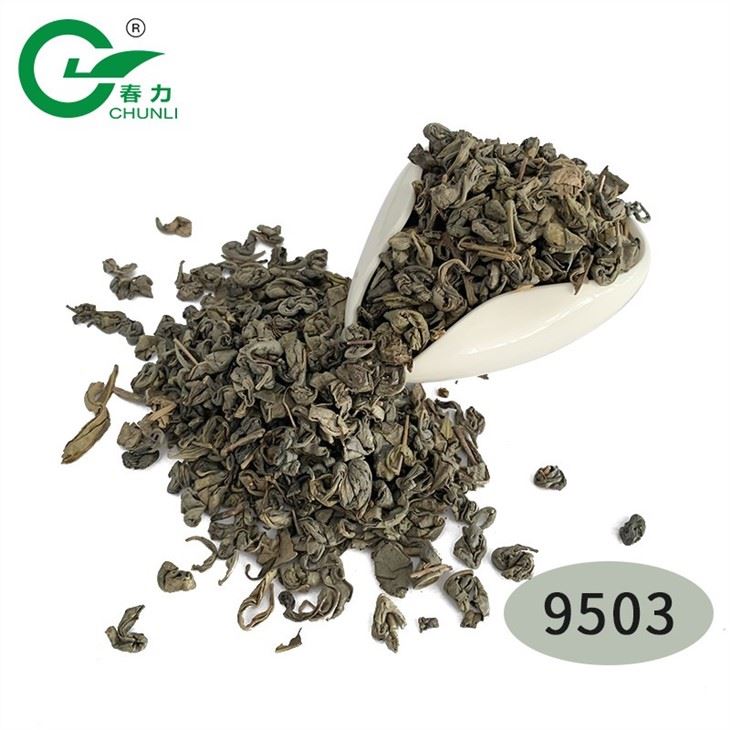 Gunpowder Tea manufacturers
